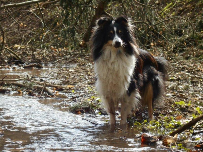 Moje krásné a milé čuňátko... Fej (Pretty Fairytel)