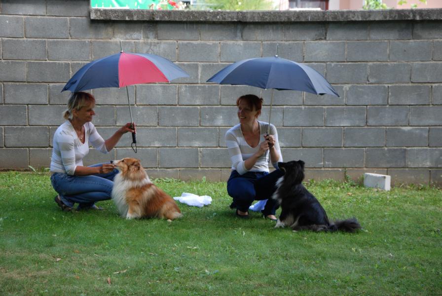 Ukázka tance se psem v podání Vilíka a Dadů... text písničky: ...tak jsem Tě pod deštník vzal... :-)